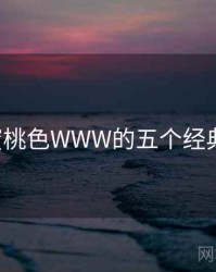 YSL蜜桃色WWW的五个经典事件