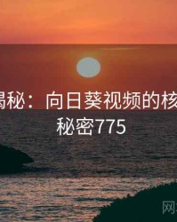 爆炸性揭秘：向日葵视频的核心秘密 · 秘密775