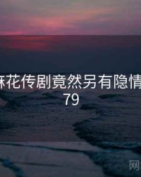 震惊！麻花传剧竟然另有隐情 · 秘密379