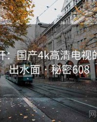 谜团解开：国产4k高清电视的真相浮出水面 · 秘密608