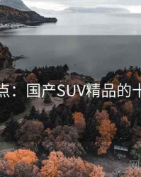 全面盘点：国产SUV精品的十个秘密