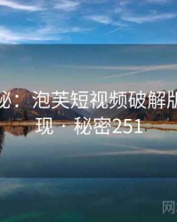 档案揭秘：泡芙短视频破解版事件重现 · 秘密251