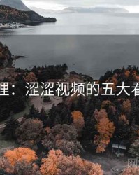 整理：涩涩视频的五大看点