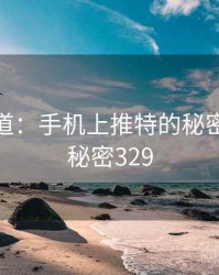 追踪报道：手机上推特的秘密链条 · 秘密329