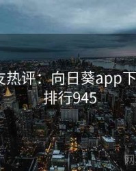 十大网友热评：向日葵app下载相关 · 排行945