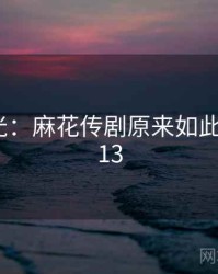 真相曝光：麻花传剧原来如此 · 秘密513