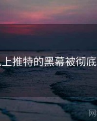 手机上推特的黑幕被彻底揭开