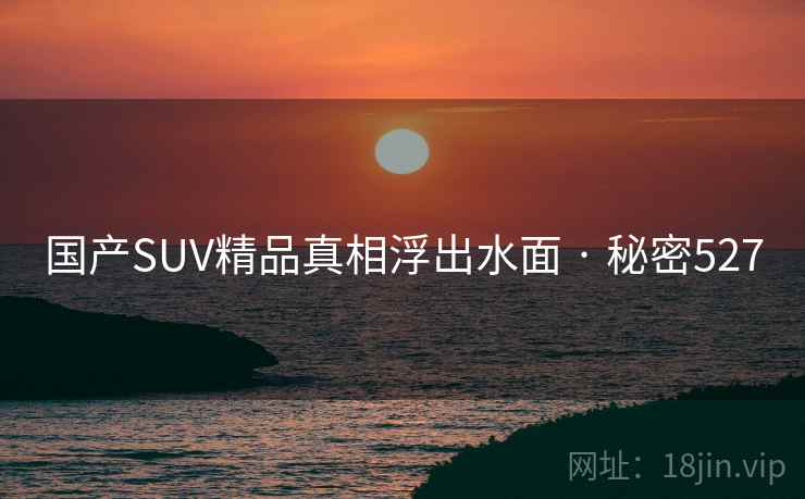 国产SUV精品真相浮出水面 · 秘密527
