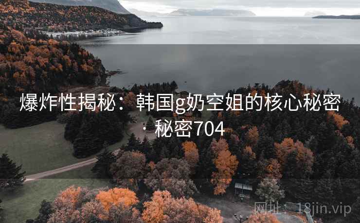 爆炸性揭秘：韩国g奶空姐的核心秘密 · 秘密704